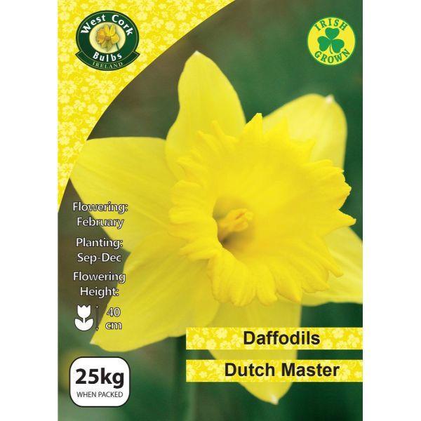 West Cork Daffodil Dutch Master 25Kg