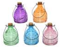 Décoris Transparent Glass Wasp Catcher With Rim  5 Assorted Colours