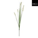 Dogtail grassLoose Stem