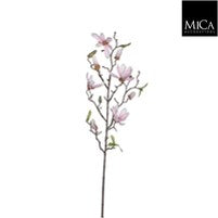 Magnolia pink  Branch Loose Stem
