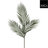 Palm Loose Stem