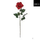 Rose red  Loose Stem