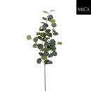 Eucalyptus branch Loose Stem