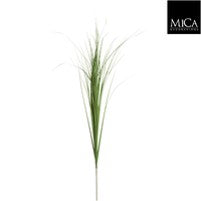 Reed grass Loose Stem