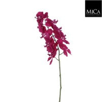 Orchid purple Loose Stem