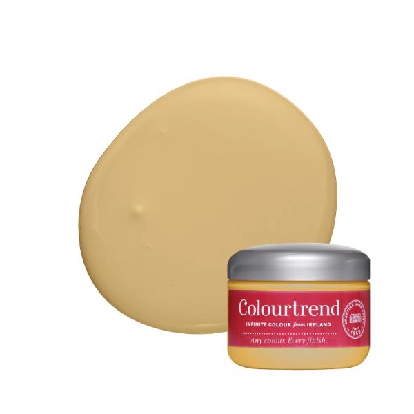 Colourtrend Delphi Test Pot 100ML  