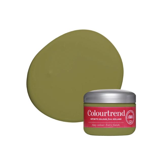 Colourtrend Leafy Green Test Pot 100ML  