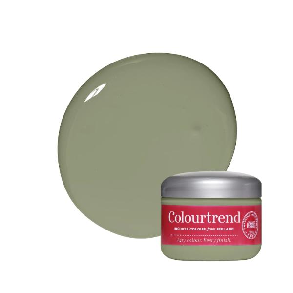 Colourtrend Nettle Soup Test Pot 100ML  
