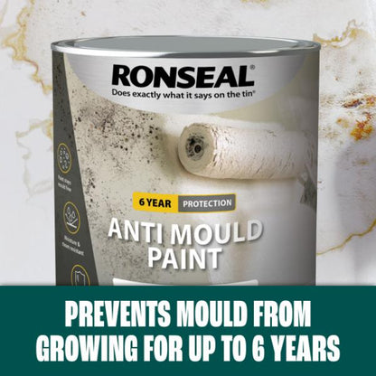 Ronseal 6 Year Anti Mould Paint White Matt 750ml