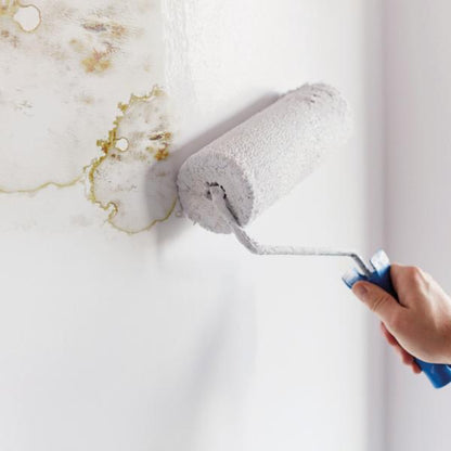 Ronseal 6 Year Anti Mould Paint White Matt 2.5L