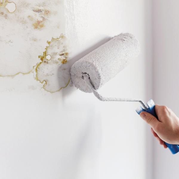 Ronseal 6 Year Anti Mould Paint White Silk 750ml