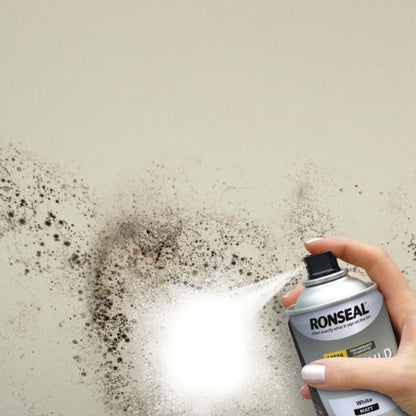 Ronseal 6 Year Anti Mould Paint 400ml