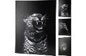 Animal Wall Art 39Cm X 59Cm