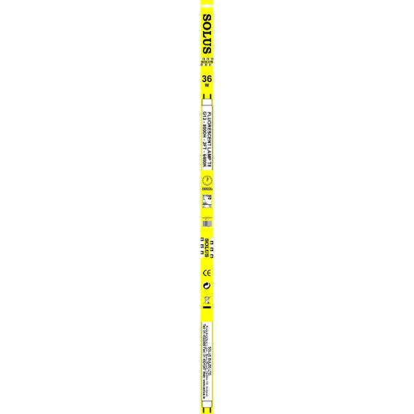 Solus 30W G13 T8 3FT Flourescent Tube