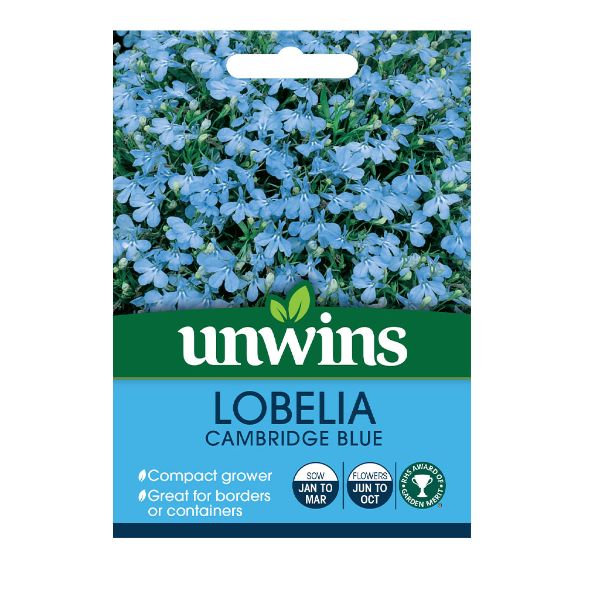 Unwins Seed Packet Lobelia Cambridge Blue