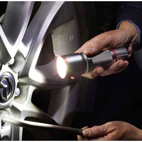 Smart Garden Eureka Mega-Beam 320L