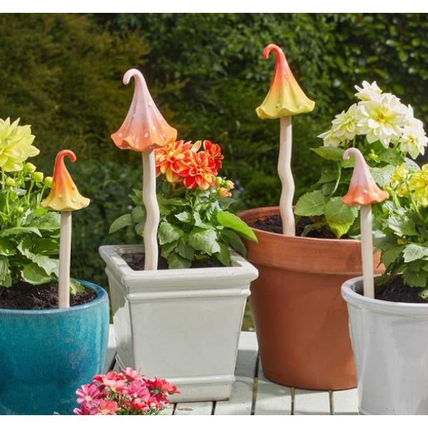 Smart Garden Elvedon Wizard&