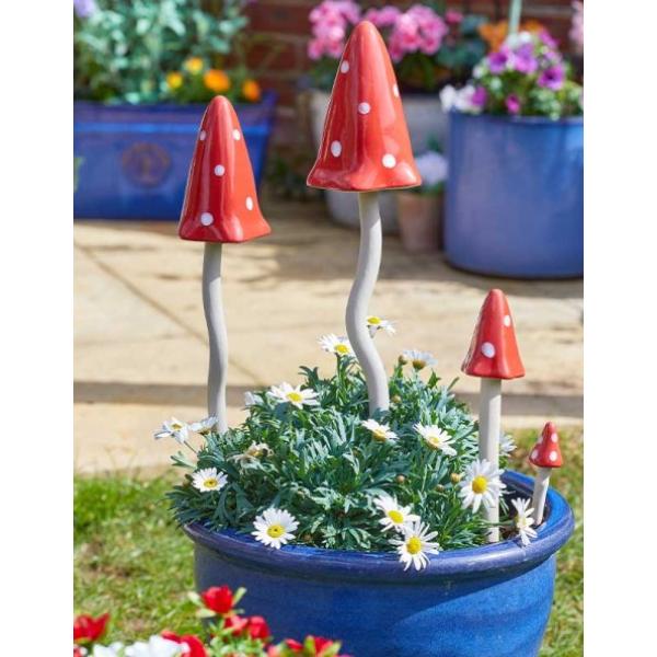 Smart Garden Elvedon Fabulous Fungus