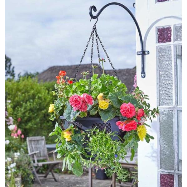 Smart Garden 15” Flowerpro Basket