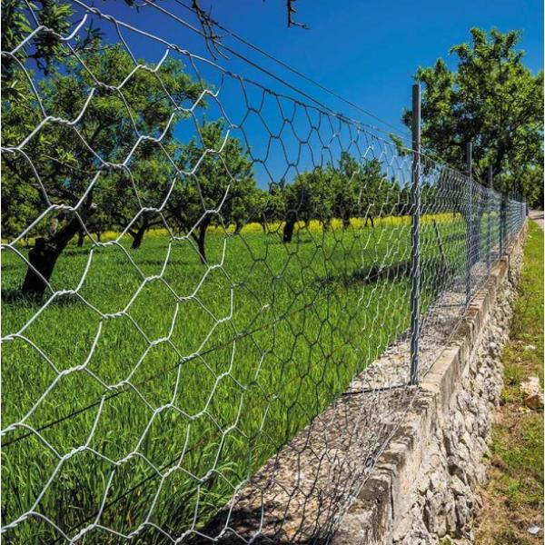 Smart Garden Hexagonal Wire Netting - 13mm Mesh 0.5 X 10m Galvanised