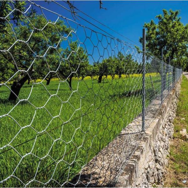 Smart Garden Hexagonal Wire Netting - 25mm Mesh 0.5 X 10m Galvanised