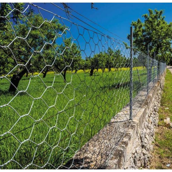 Smart Garden Hexagonal Wire Netting - 50mm Mesh 0.5 X 10m Galvanised