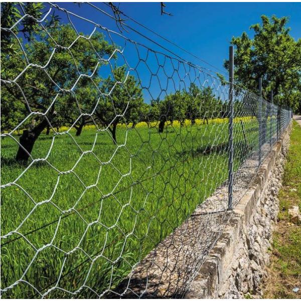 Smart Garden Hexagonal Wire Netting - 13mm Mesh 1 X 10m Galvanised