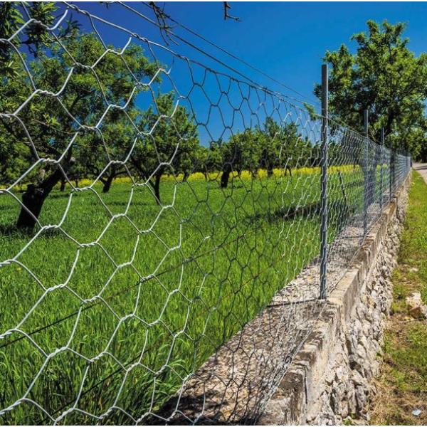 Smart Garden Hexagonal Wire Netting - 25mm Mesh 1 X 10m Galvanised