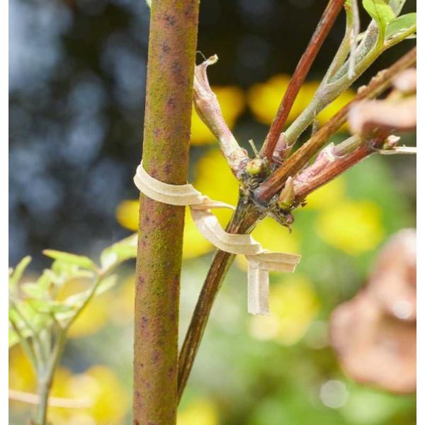 Smart Garden Useful 40m Eco Twistytie