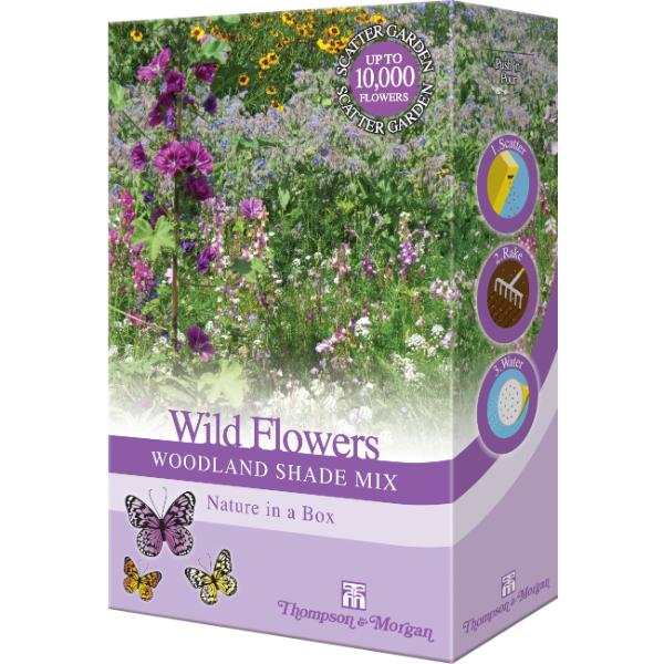Wild Flowers Woodland Shade Mix