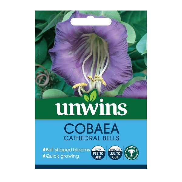 Unwins Seed Packet Cobaea Cathedral Bells