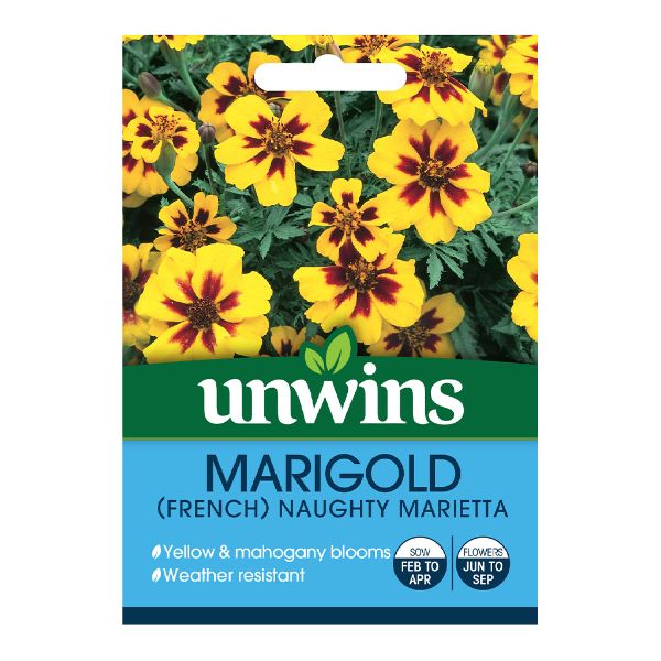 Unwins Seed Packet Marigold French Naughty Marietta