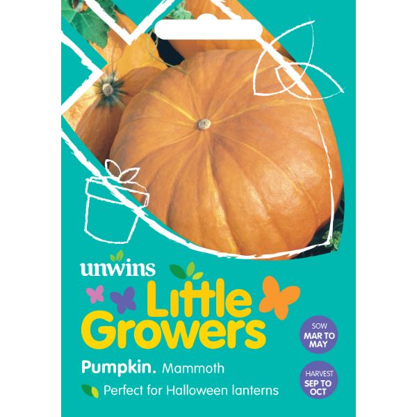 Unwins Seed Packet Little Growers Pumpkin Mammoth