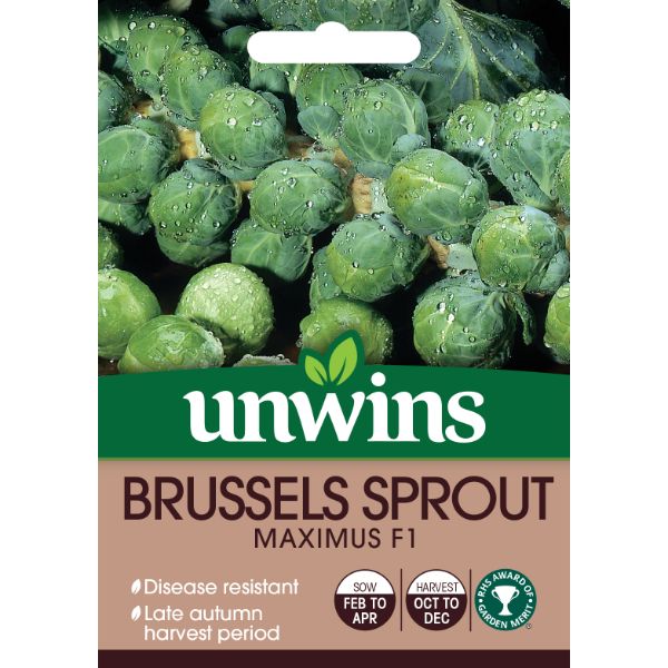 Unwins Seed Packet Brussels Sprout Maximus F1