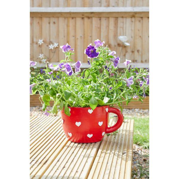 Smart Garden Teacup Heart Planter