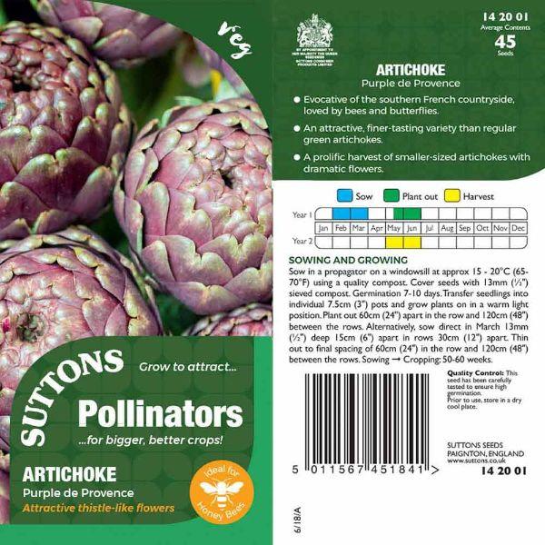 P &amp; P - Artichoke Purple de Provence