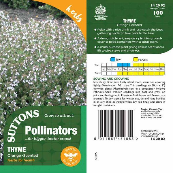 P &amp; P - Thyme Orange Scented ,