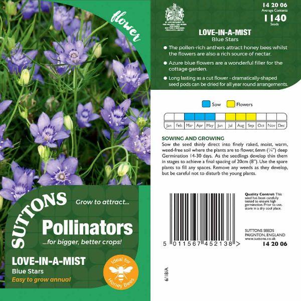 P &amp; P -  Love-in-a-Mist Blue Stars