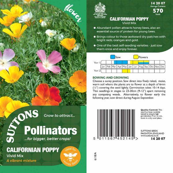 P &amp; P - Californian Poppy  Vivid Mix