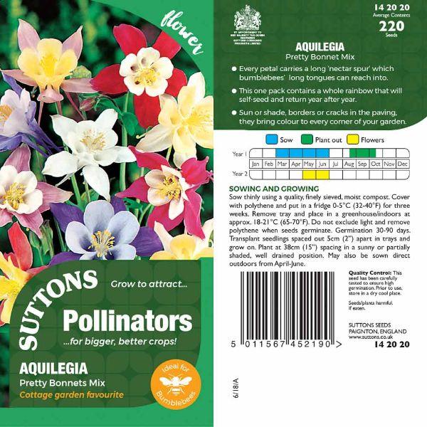 P &amp; P - Aquilegia Pretty Bonnet Mix