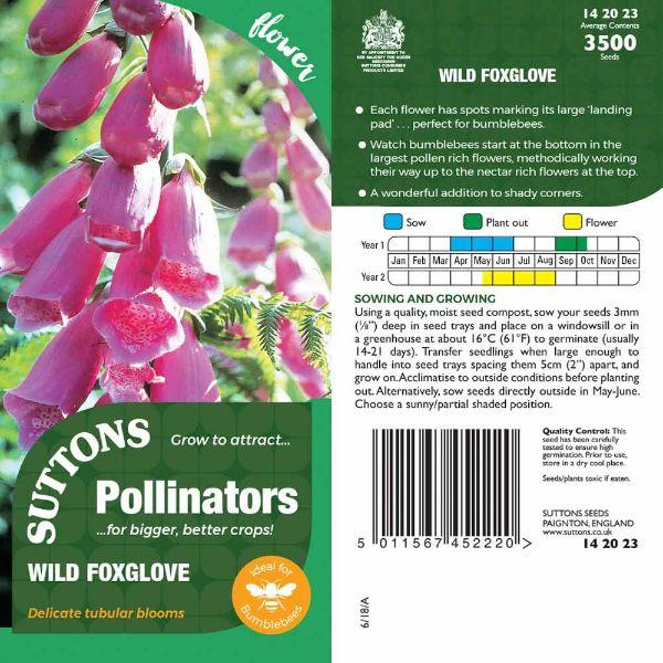P &amp; P - Wild Foxglove