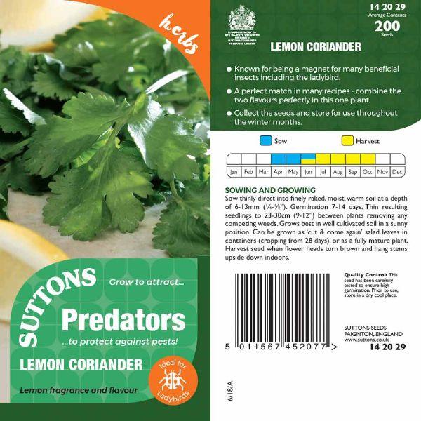 P &amp; P - Lemon Coriander