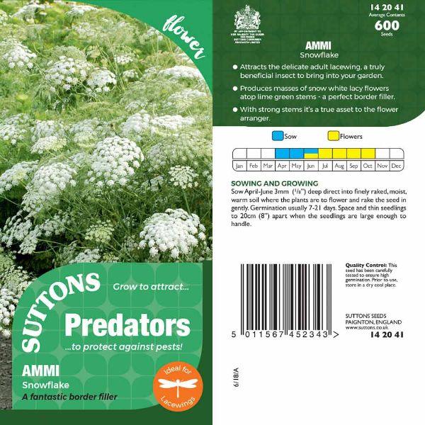 P &amp; P - Ammi Snowflake