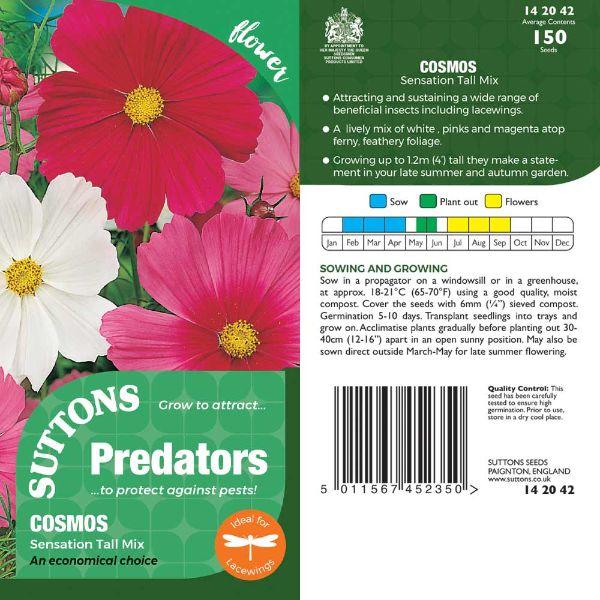 P &amp; P - Cosmos Sensation Tall
