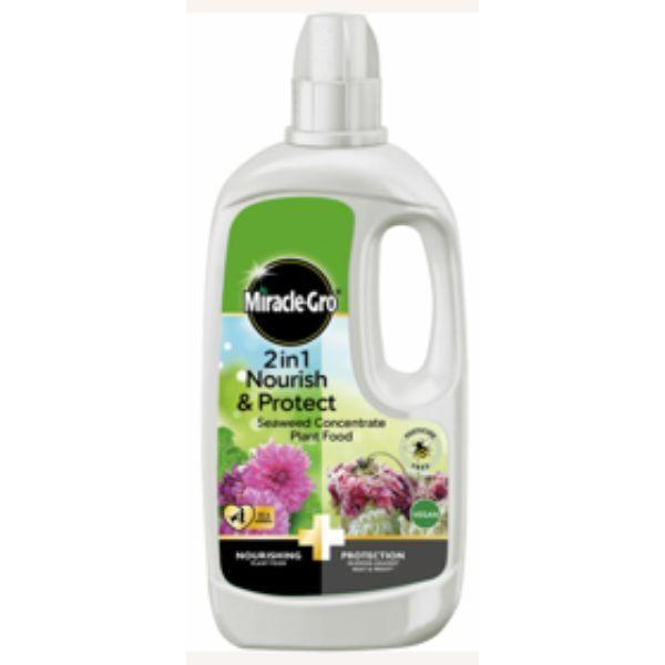 Miracle-Gro 2 In 1 Nourish &amp; Protect Seaweed Lawn Food 80Ml