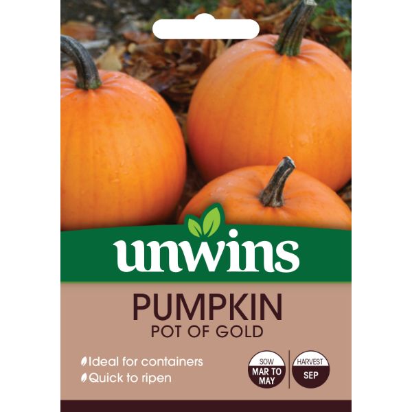 Unwins Seed Packet Pumpkin Evergold