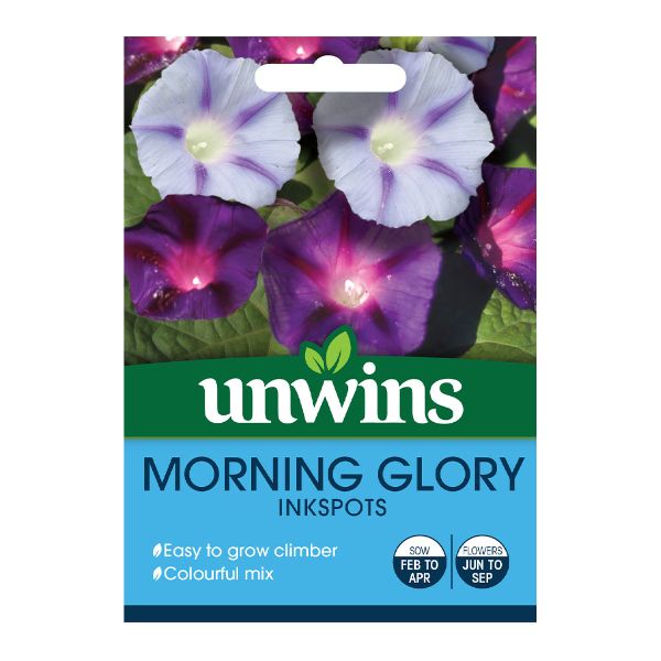 Unwins Seed Packet Morning Glory Inkspots