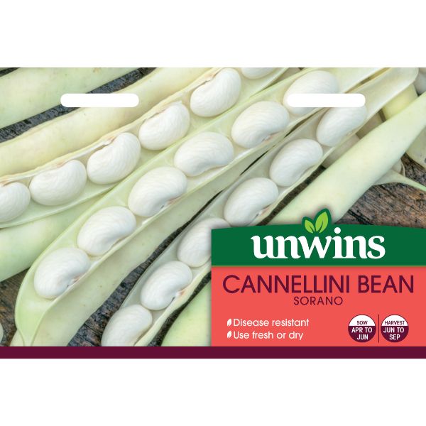 Unwins Seed Packet Cannellini Bean Sorano