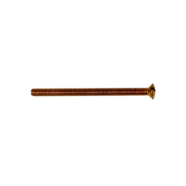 50mm Socket Screws Brass (4)