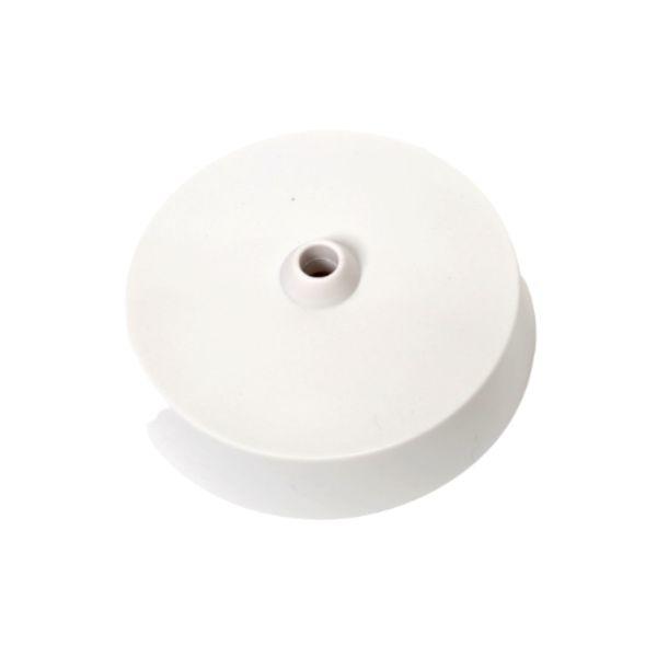 Flat Ceiling Rose 90mm (1)